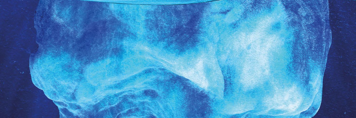 Pinche Serrano banner