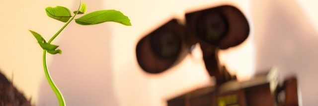 Mayra96's profile banner image