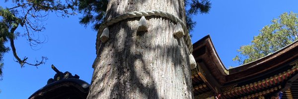 tsuboi_tomoya Profile Banner