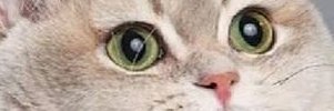 Hormes_P's profile banner image