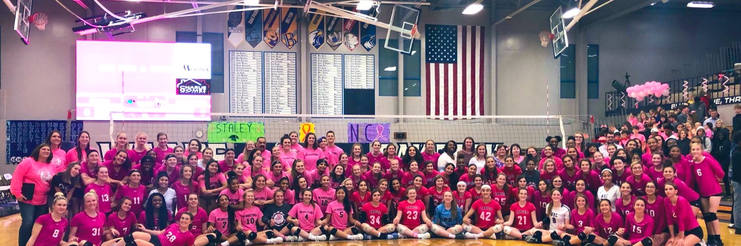 Oak Park Volleyball banner