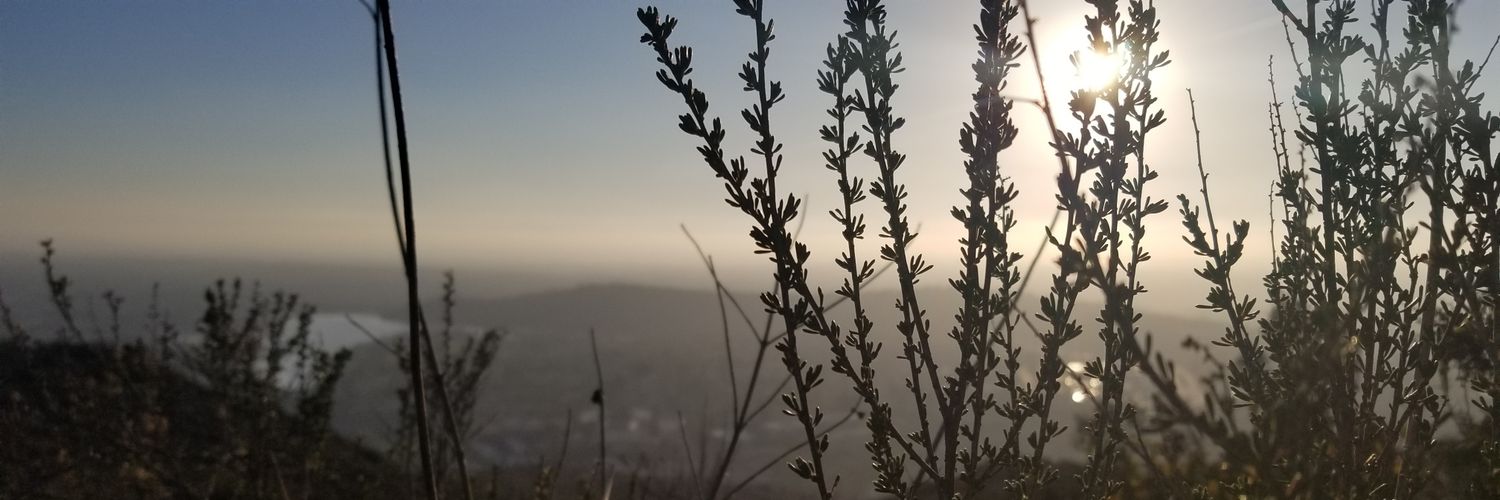 Swiggity181's profile banner image
