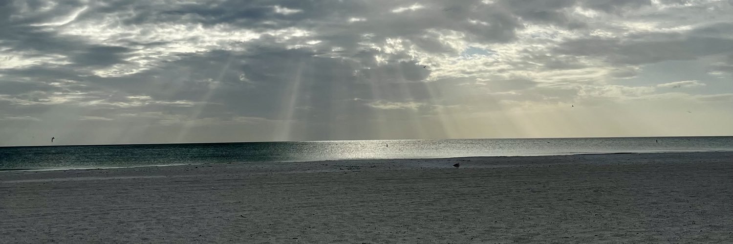 RGerbz's profile banner image