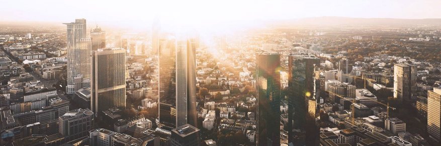 Simon Steiner banner