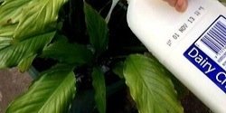 AshtonRPGSA_'s profile banner image