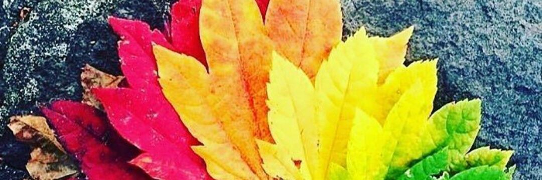 QuinnyNiceee's profile banner image