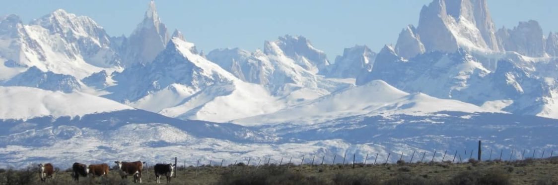 Nicolás Vidal banner