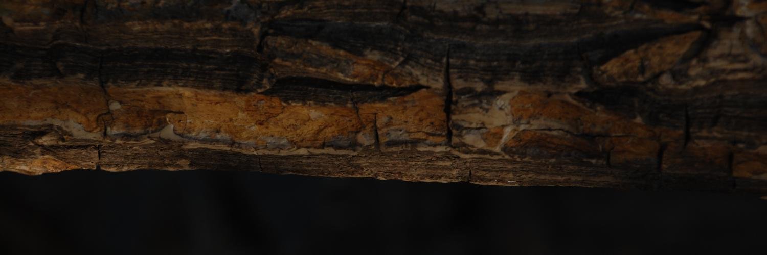 infraRED_2's profile banner image