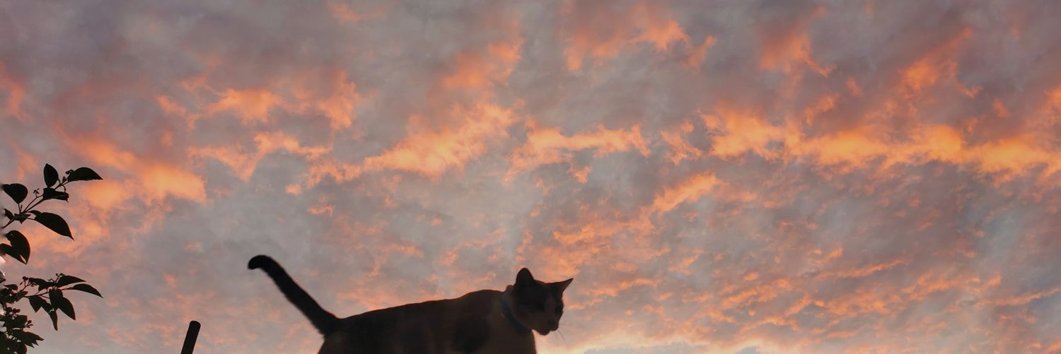 G____m__'s profile banner image