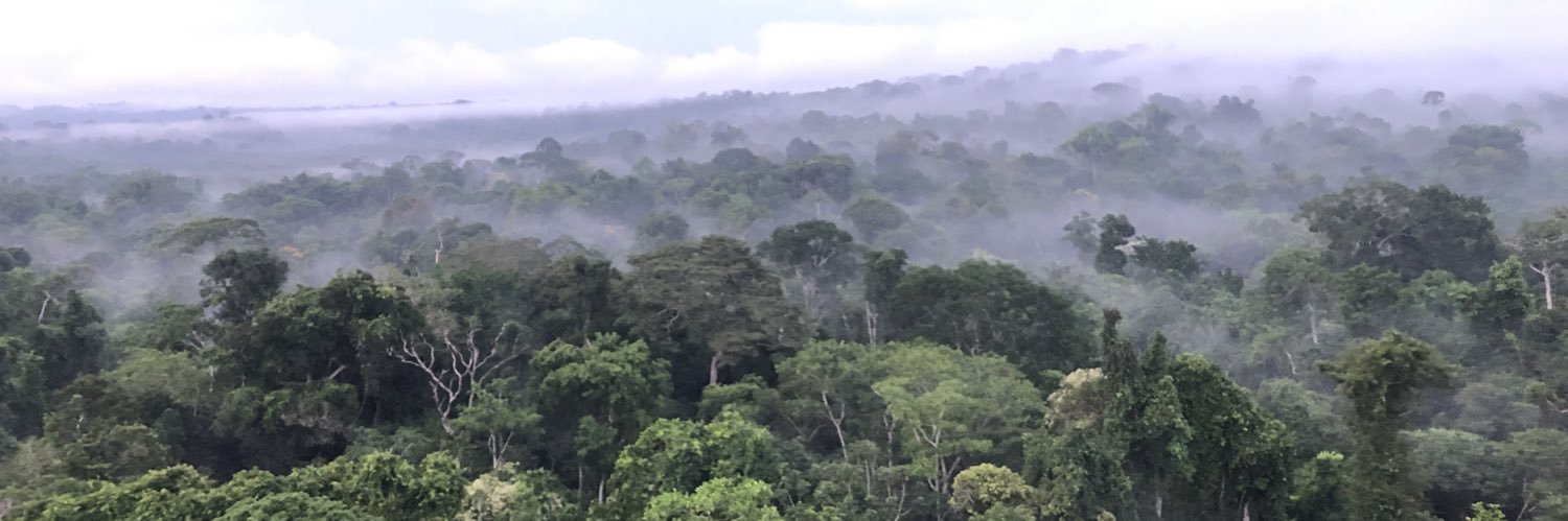 Fernanda Werneck banner