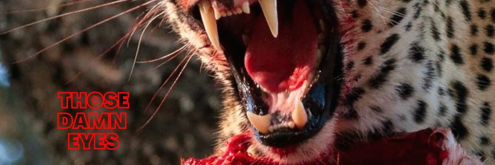 ThoseDamnEyes's profile banner image