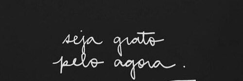 llaryrodrigues's profile banner image