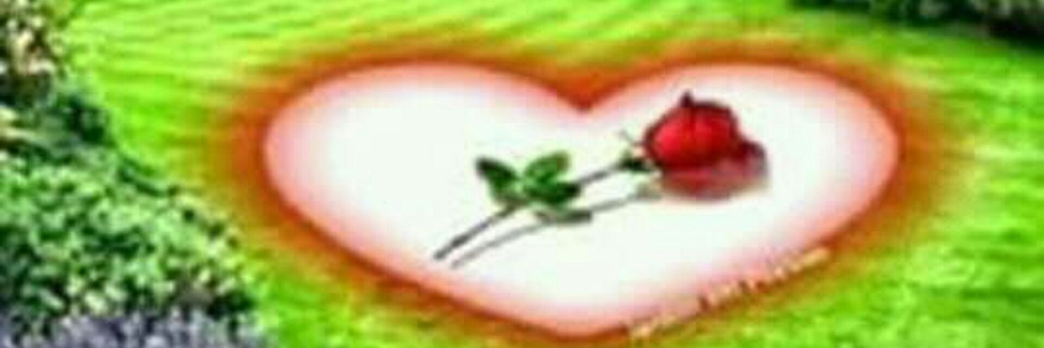 ayoubchnkot's profile banner image