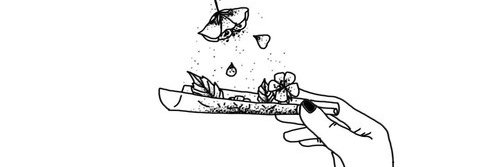 JdDolores's profile banner image