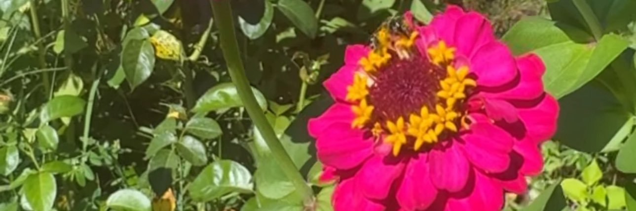 AnaGarip's profile banner image