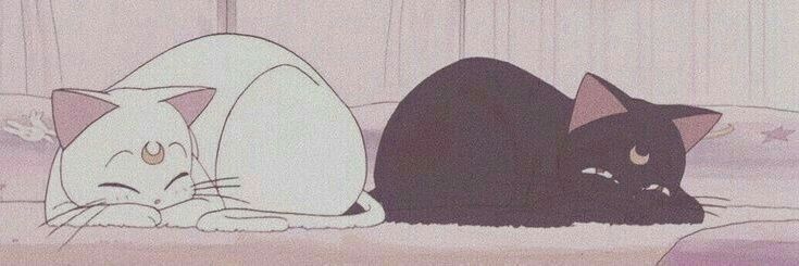 adri 🦇 CR4 🦊🖤⚰️ banner