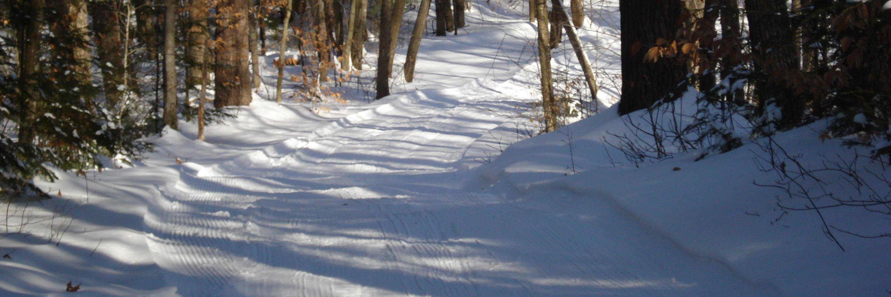 appalachianinNH's profile banner image