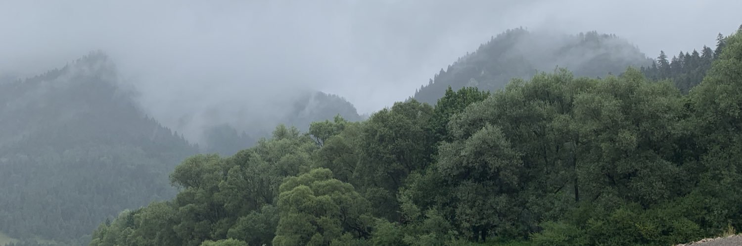 b_calamari's profile banner image