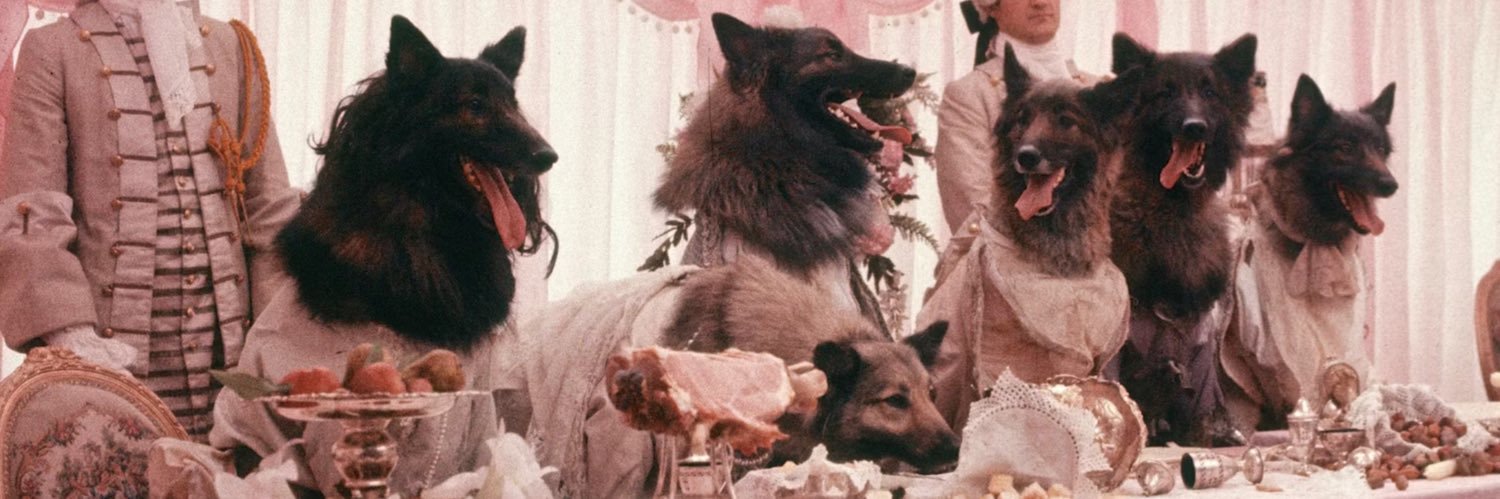 conecetta's profile banner image
