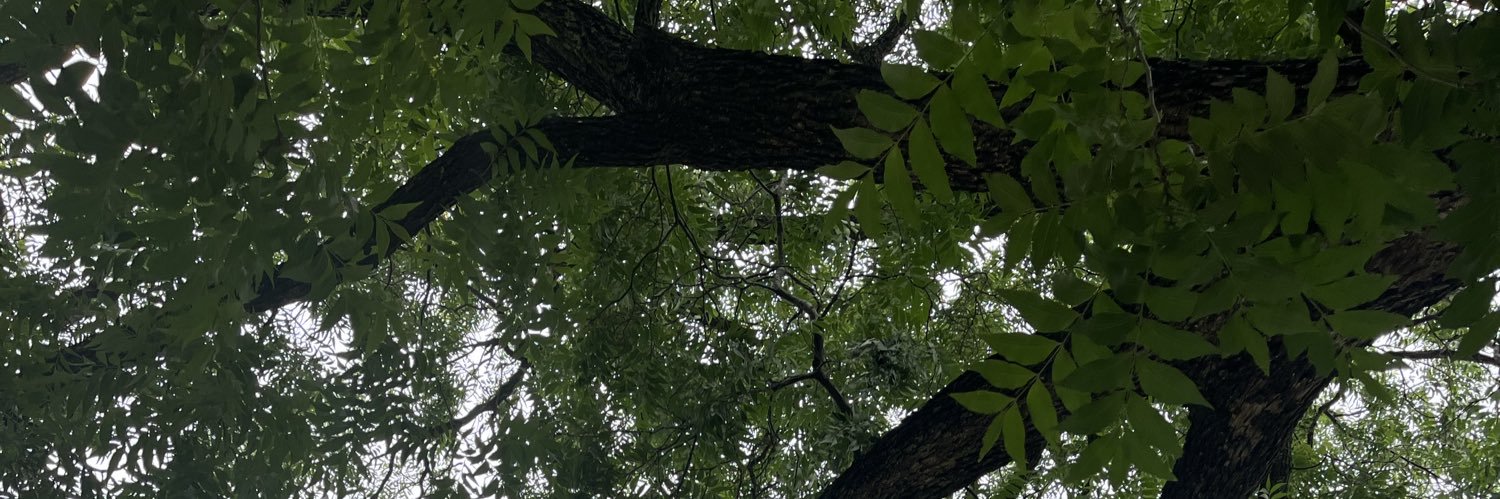 cindyelegance's profile banner image