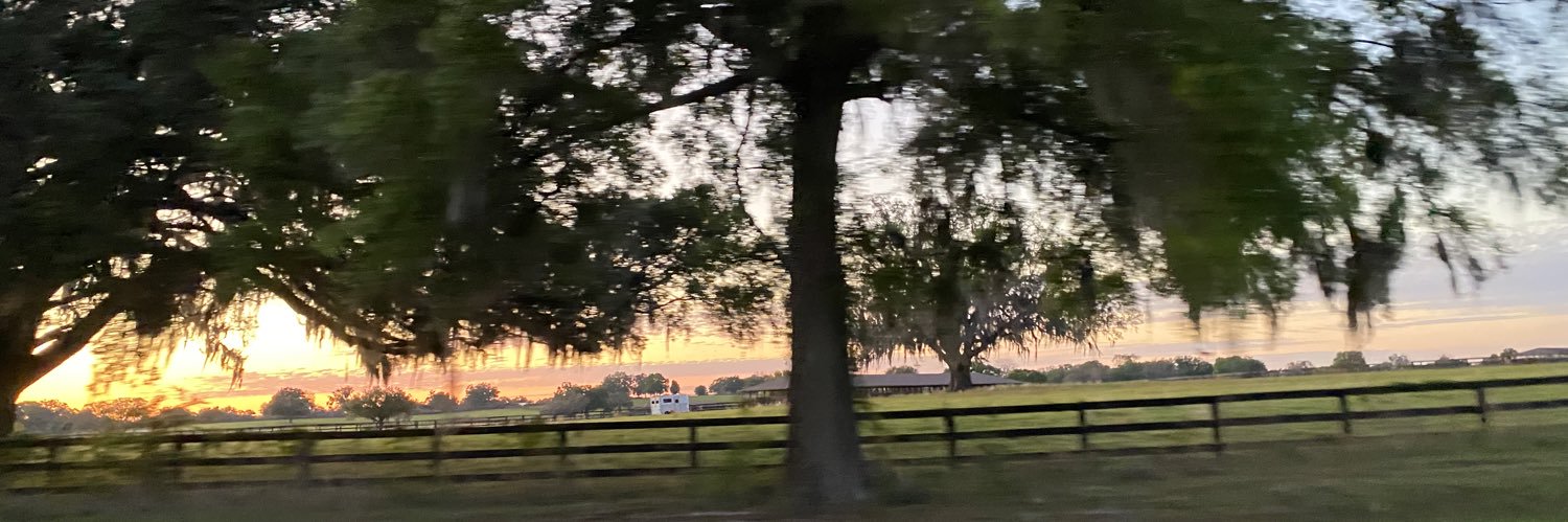Andrea_Realtor's profile banner image