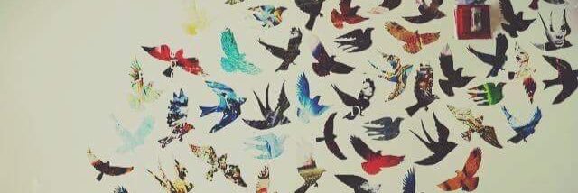 RashaNahhal's profile banner image