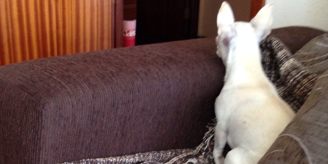 Marcosmohe's profile banner image