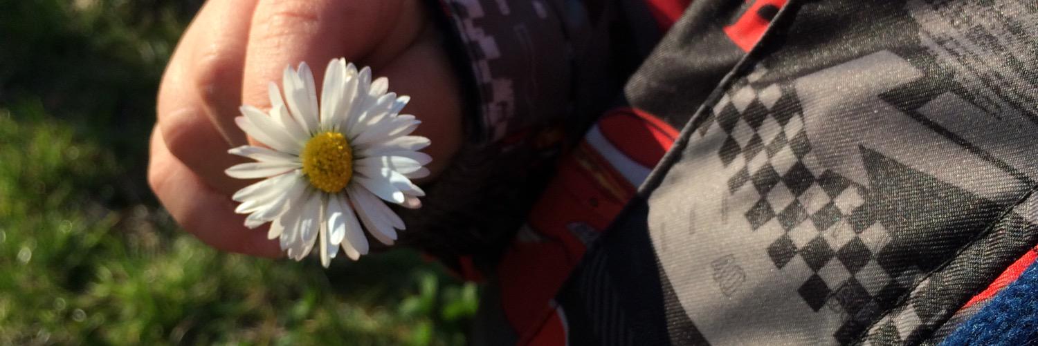 Roxanda's profile banner image