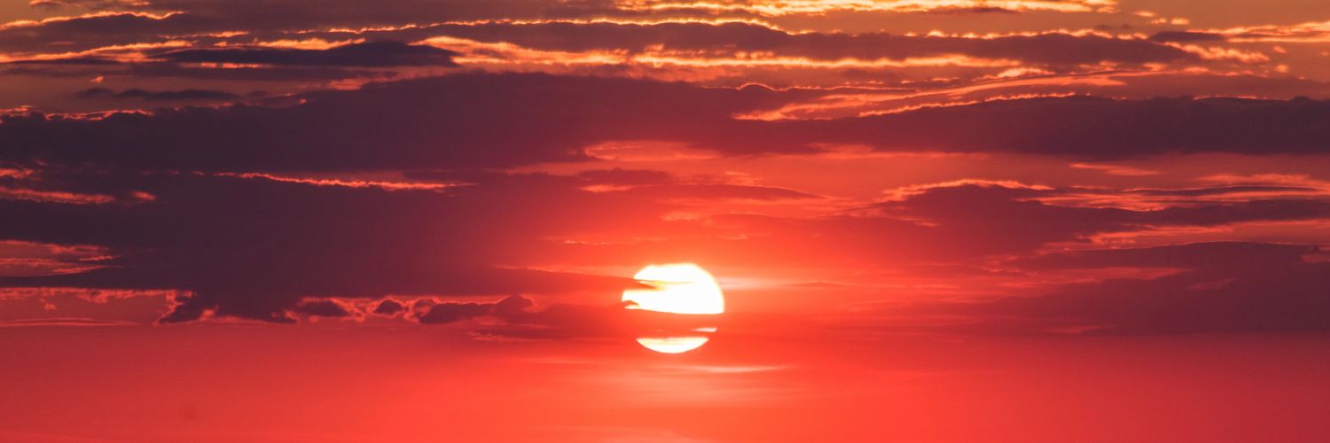 Ingridcatano's profile banner image