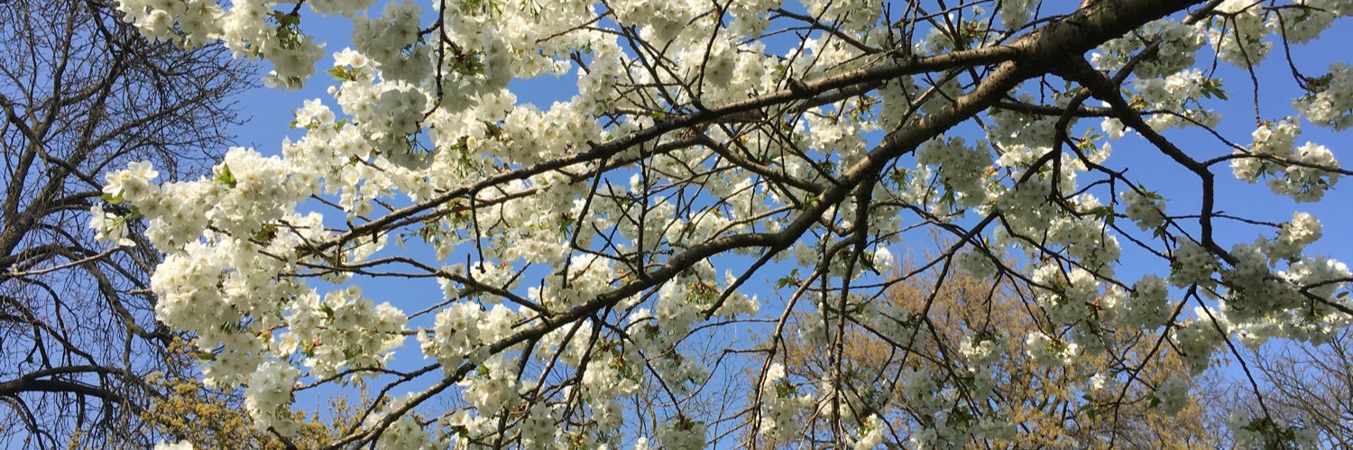 Eline Op de Coul banner