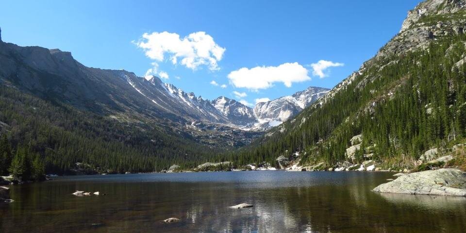 Abby Fitzgerald banner