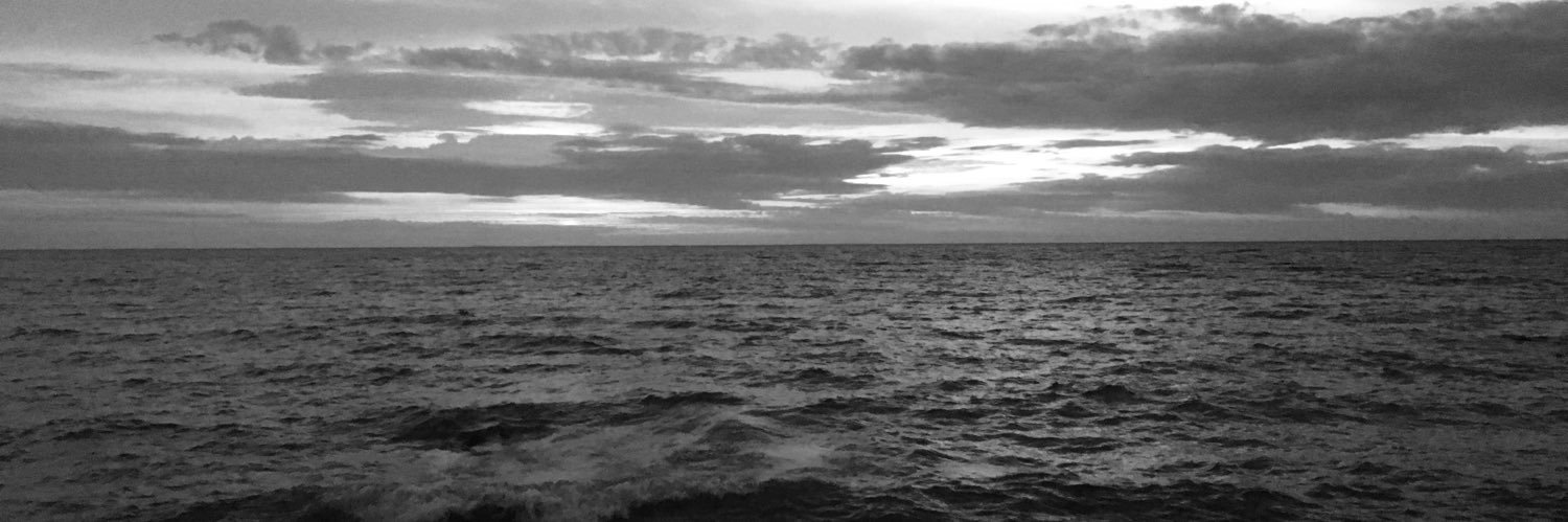 Emilie Callan banner