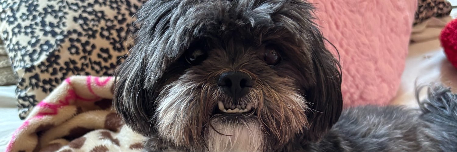 varaceli43's profile banner image