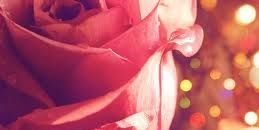 2cool4u6557's profile banner image