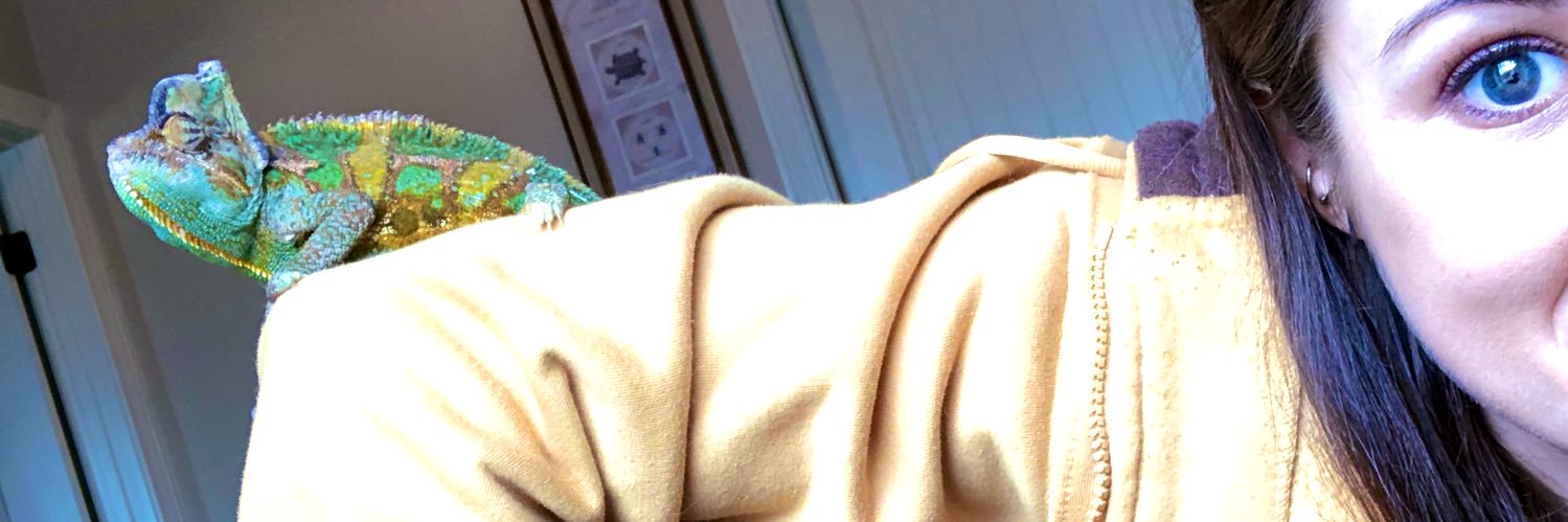 thebugdealer's profile banner image