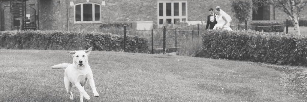 DanielDenton28's profile banner image