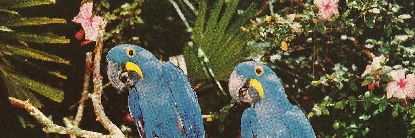 BedsideGrooves's profile banner image