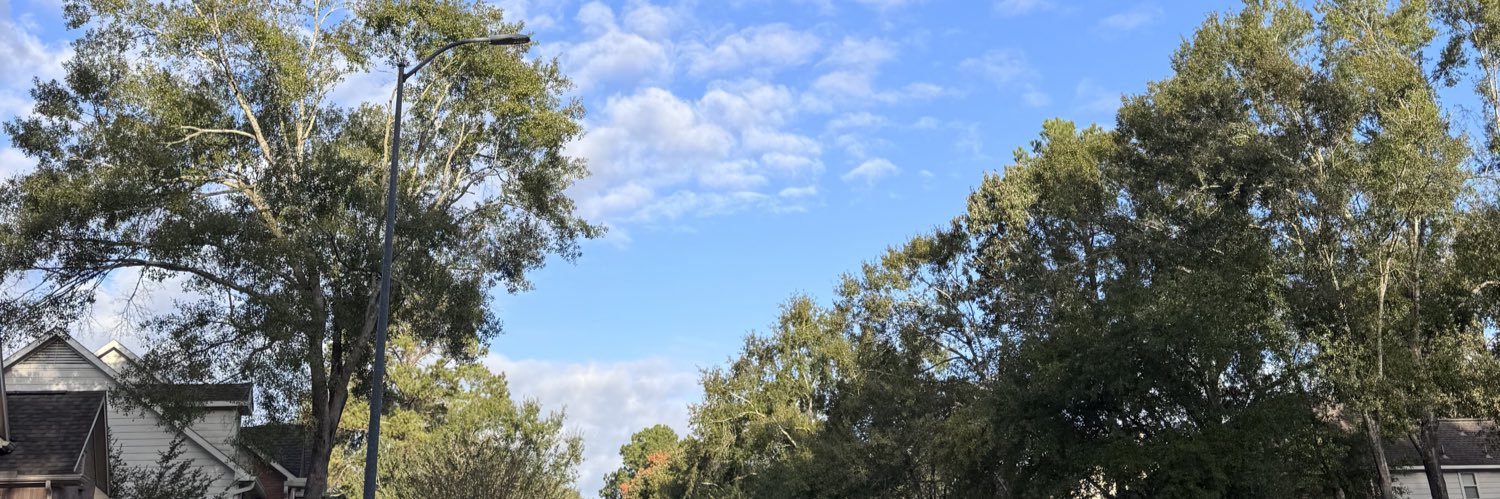 Texas Templar banner