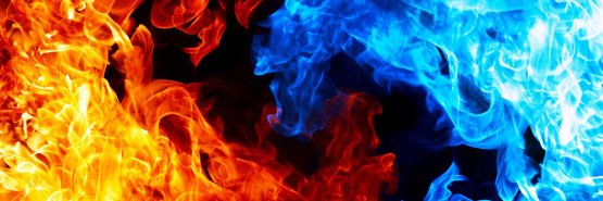 Chantelle 🕊 banner