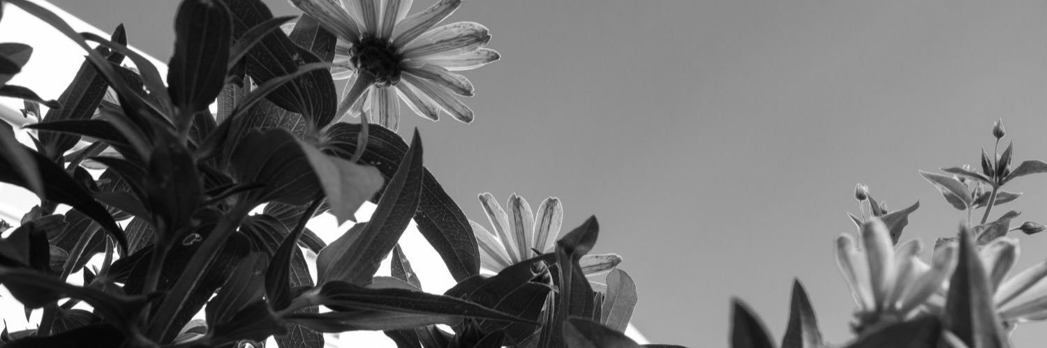 cassieseyer's profile banner image