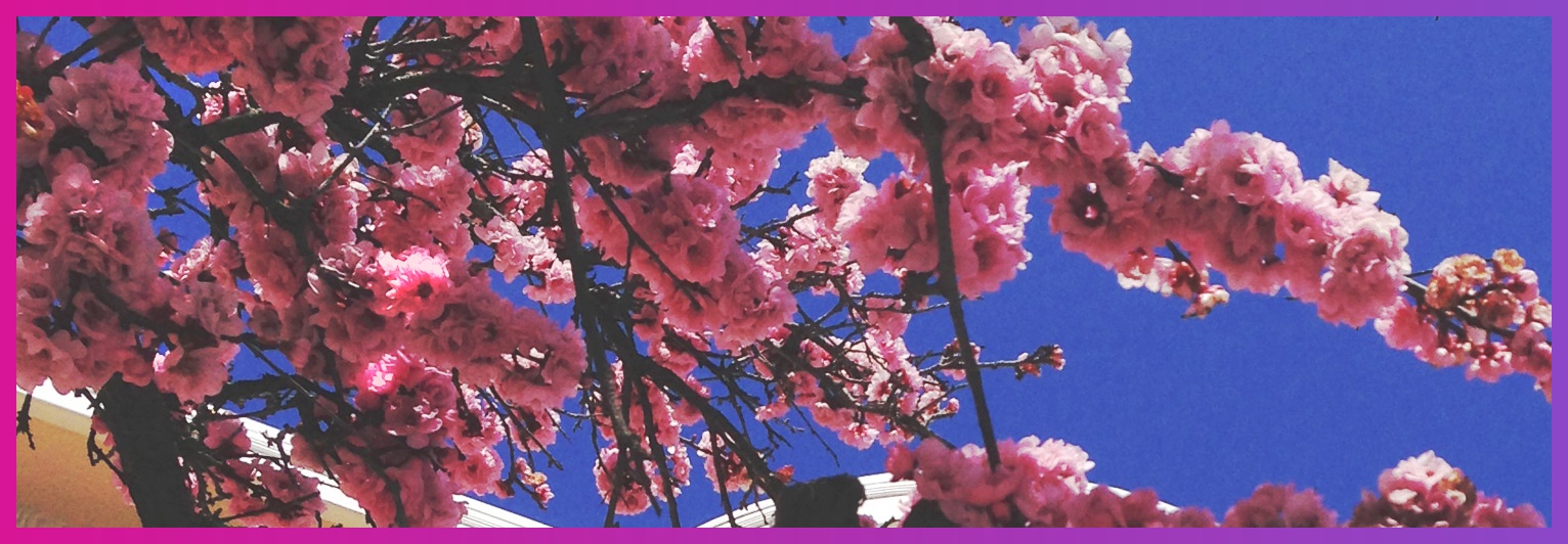 MineYumuk's profile banner image