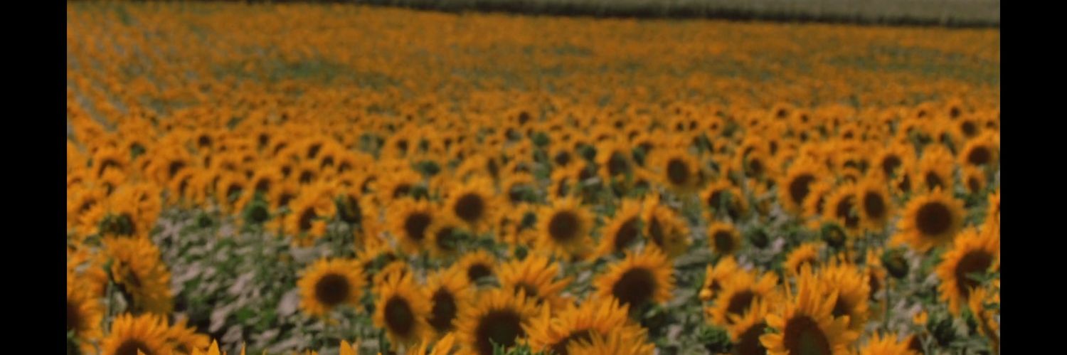 FlorenceHuee's profile banner image
