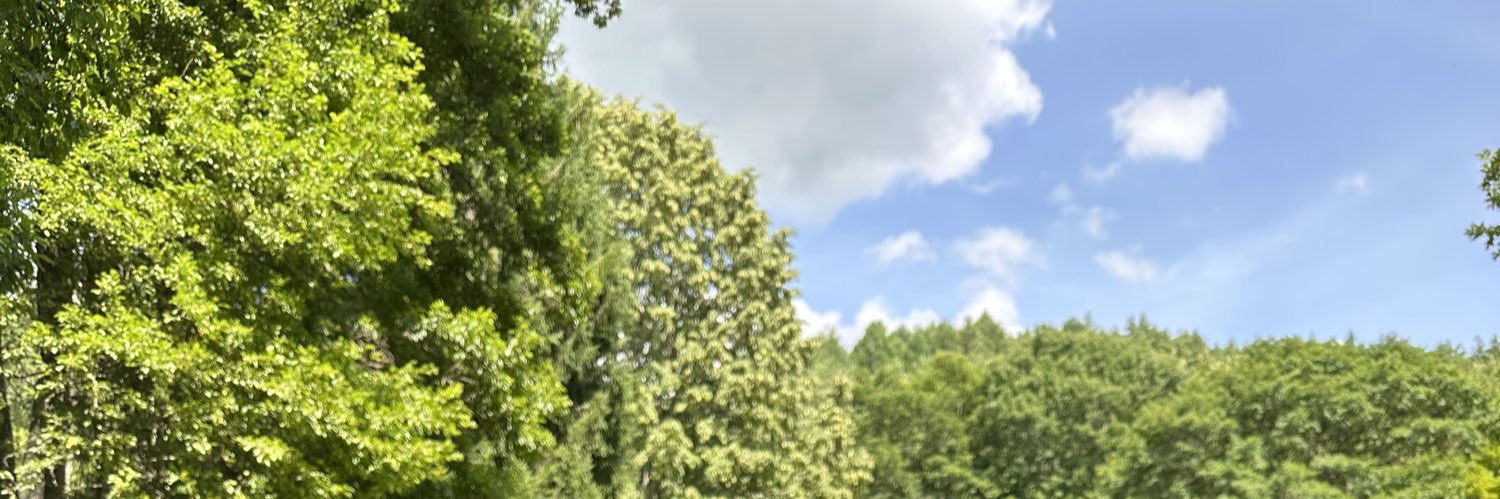 youri_0087's profile banner image