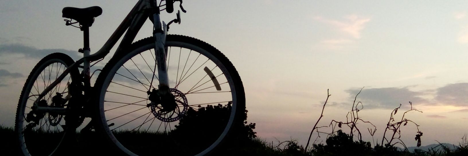dicky_abiii's profile banner image