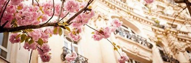alejandra_bg's profile banner image