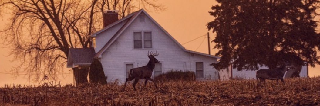 eugene___d's profile banner image