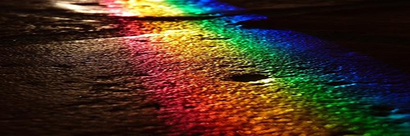 GraceBiedermann's profile banner image