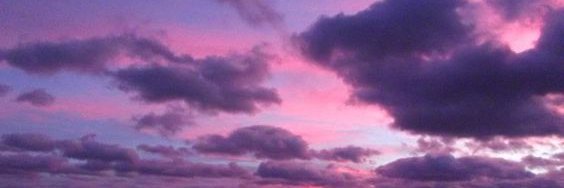 barbarafortes's profile banner image