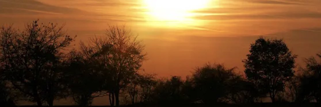 dkate28's profile banner image