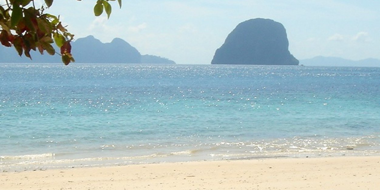 crportero's profile banner image